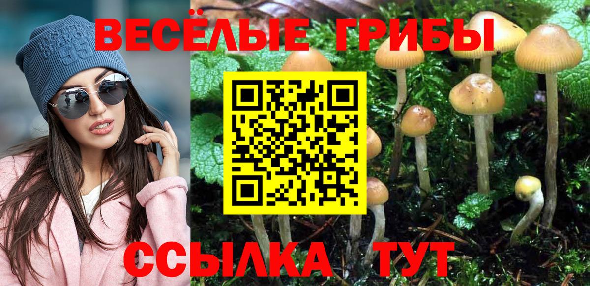 Егорьевск  Галлюциногенные грибы мухоморы  Вход с VPN  Галлюциногенные грибы ЛСД 