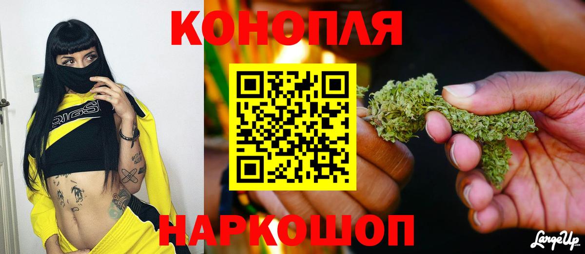 Каннабис индика  Бошки марихуана конопля  Вход с VPN  Егорьевск  Каннабис ГИДРОПОН  Бошки марихуана тримм 